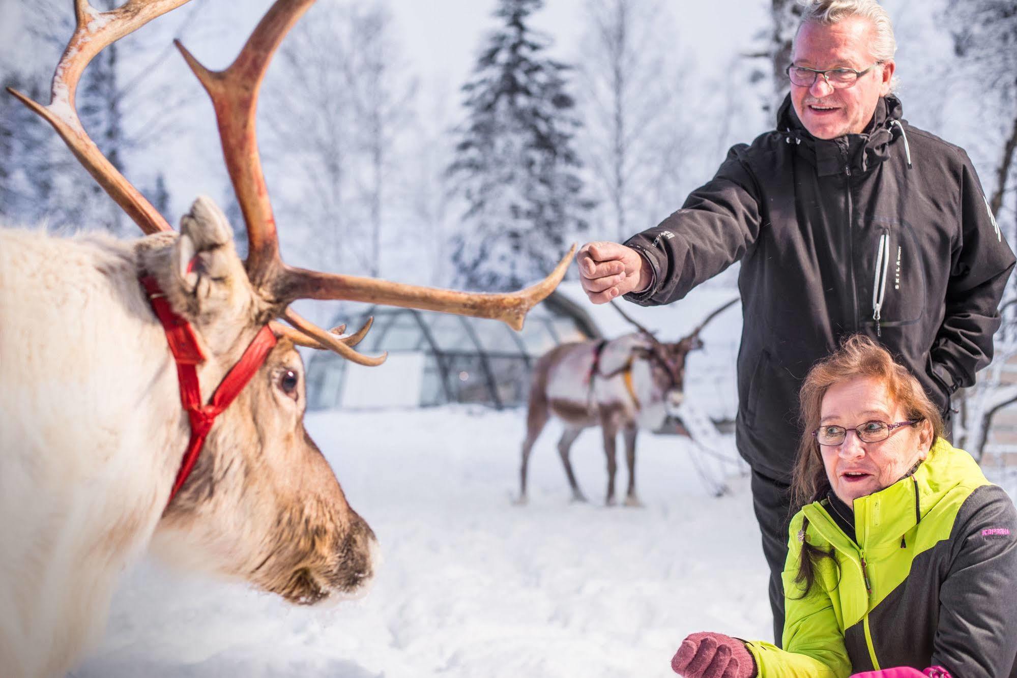 Lapland Northern Lights Hotel Ilveslinna Ranua Exterior foto